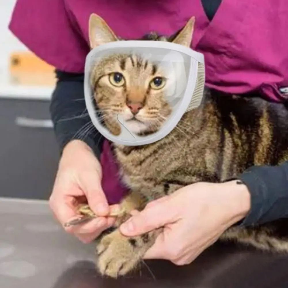 Anti Bite Puppy Kitten Muzzles Mask Pet Product Breathable Bathing Grooming Tools