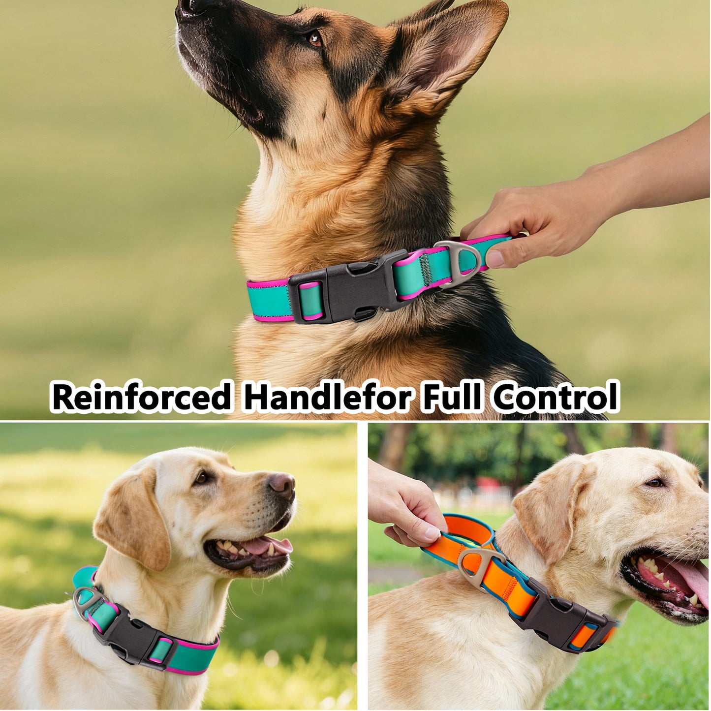 Fashionable New Tactical Collar Allows You To Better Control