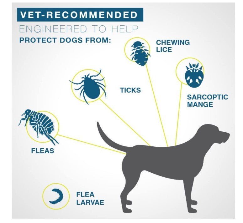 Pet Insect Repellent Small And Medium-sized Dogs And Cats