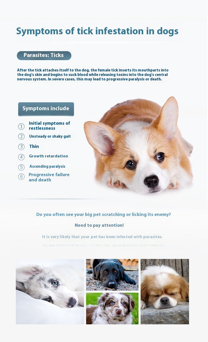 Puppy Dog Flea Preventing Ring Pet Collar insect